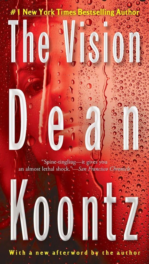 The Vision Book Cover