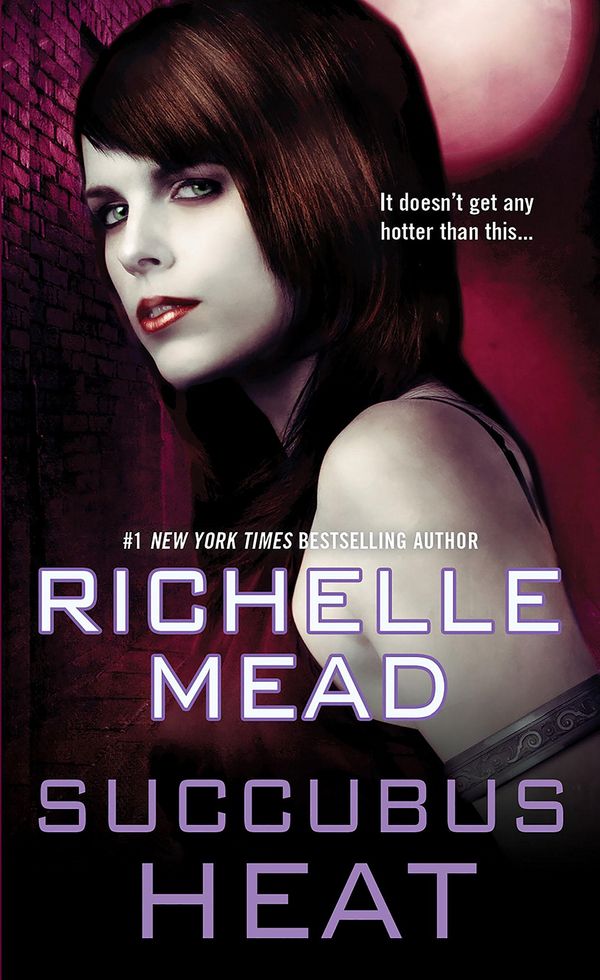 Succubus Heat Book Cover