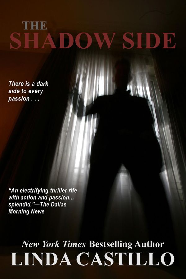 The Shadow Side Book Cover
