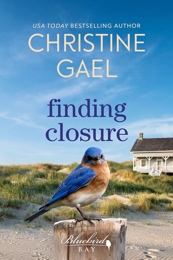 Finding Closure Book Cover