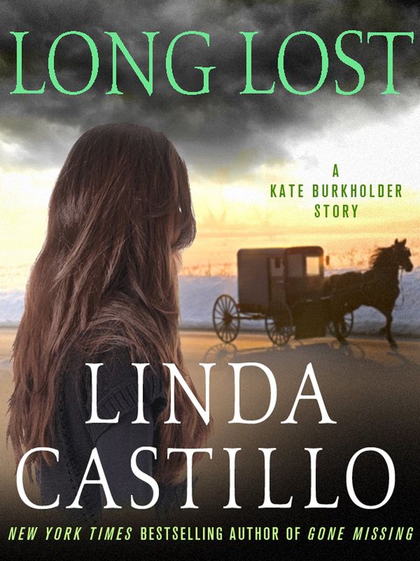 Long Lost Book Cover