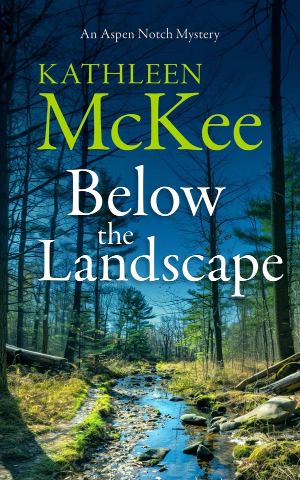 Below the Landscape Book Cover