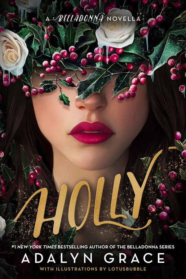 Holly Book Cover