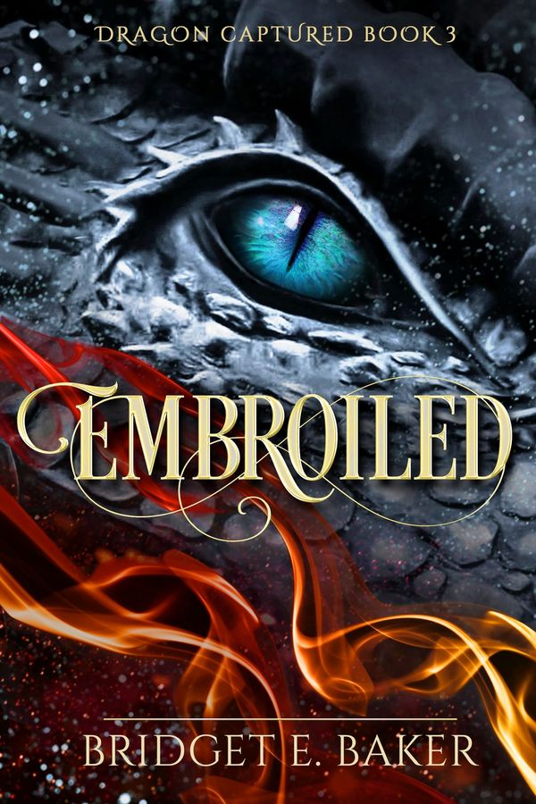 Embroiled Book Cover