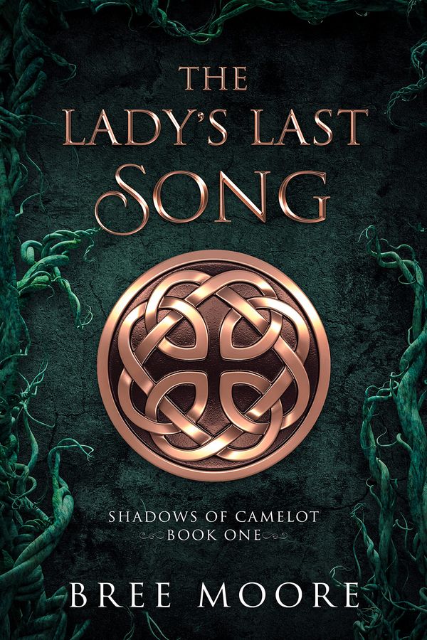 The Lady's Last Song cover