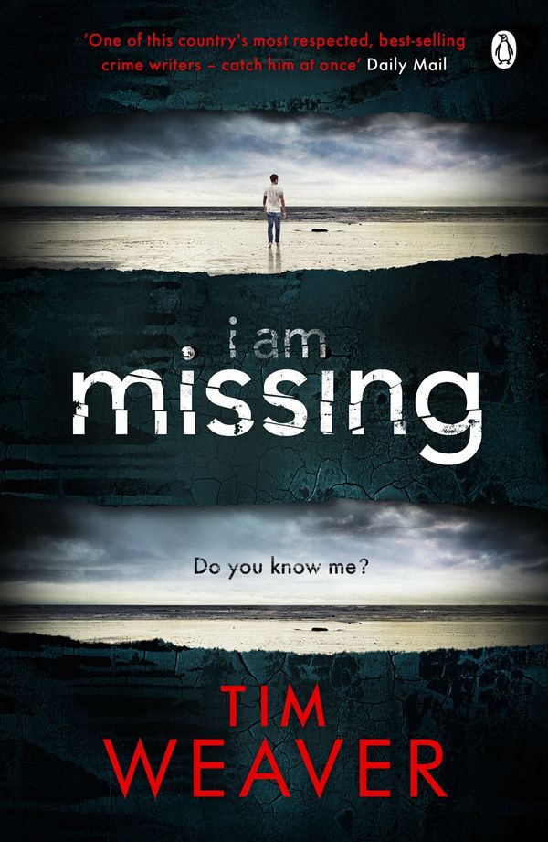 I Am Missing Book Cover