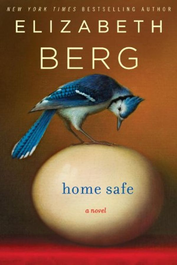 Home Safe Book Cover