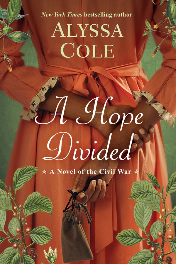 A Hope Divided cover
