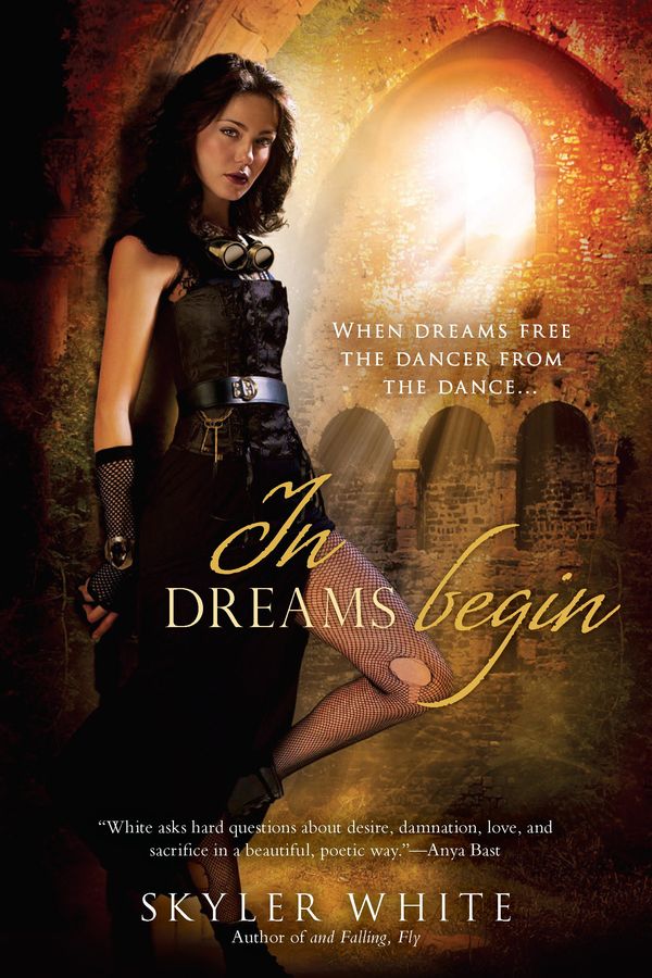 In Dreams Begin Book Cover
