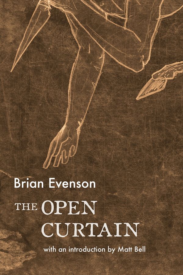 The Open Curtain Book Cover