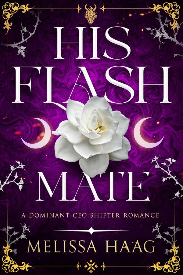 His Flash Mate Book Cover
