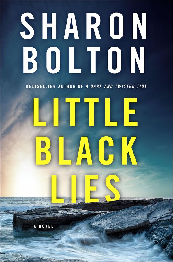 Little Black Lies Book Cover