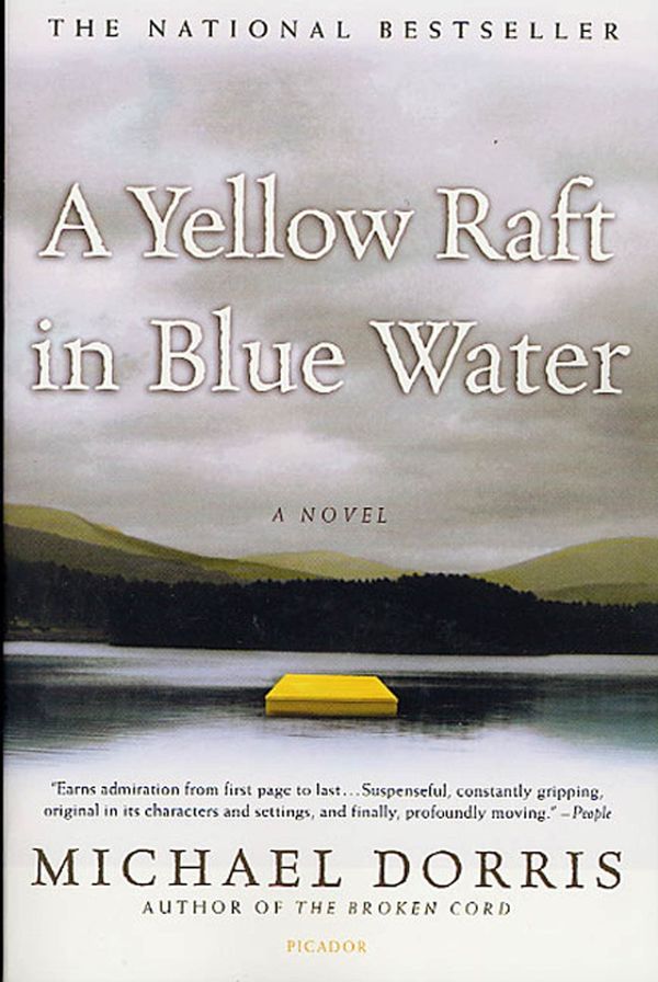 A Yellow Raft in Blue Water Book Cover