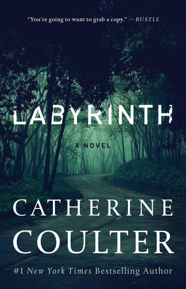 Labyrinth Book Cover