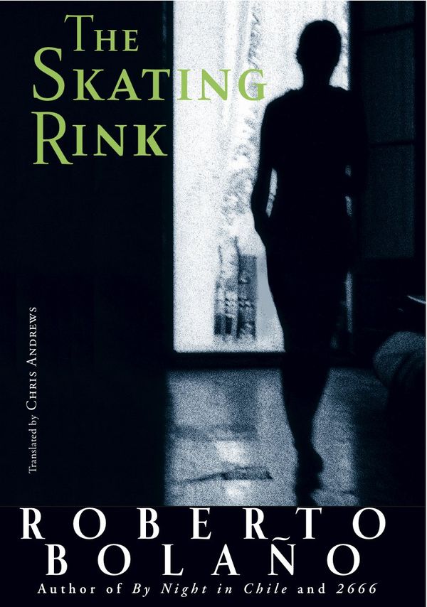 The Skating Rink Book Cover