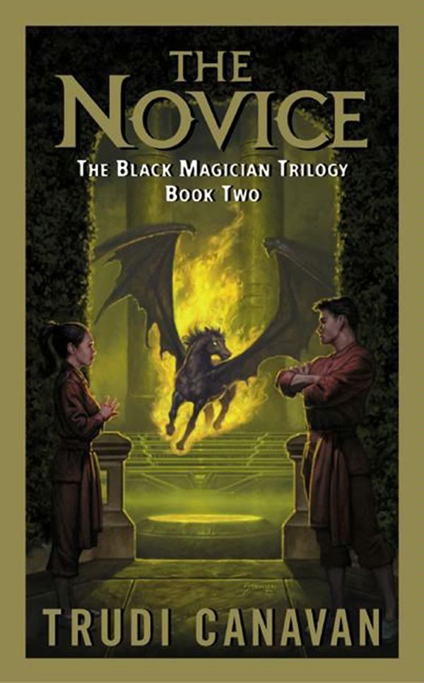 The Novice Book Cover