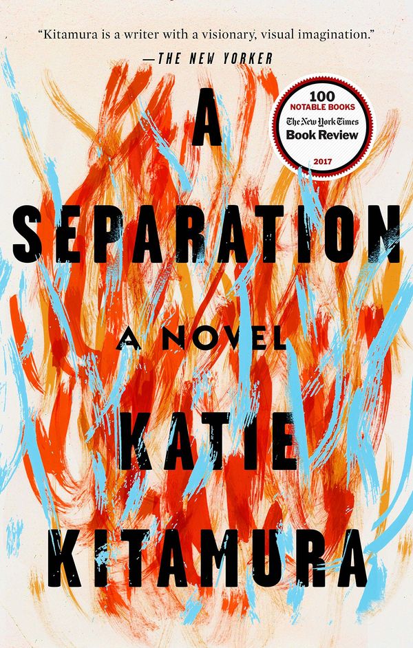 A Separation Book Cover