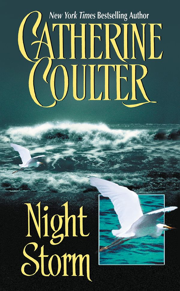 Night Storm cover