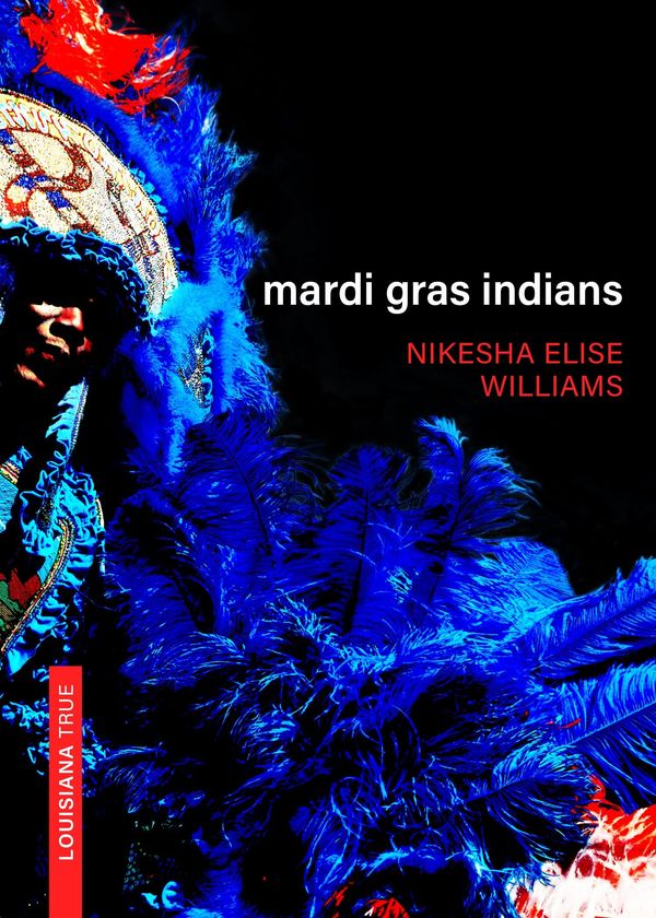 Mardi Gras Indians Book Cover