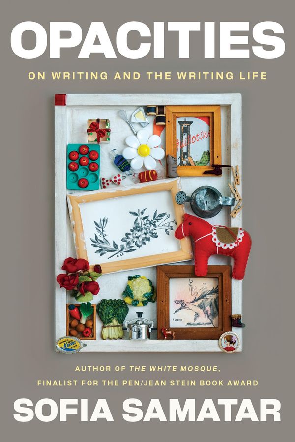 Opacities Book Cover