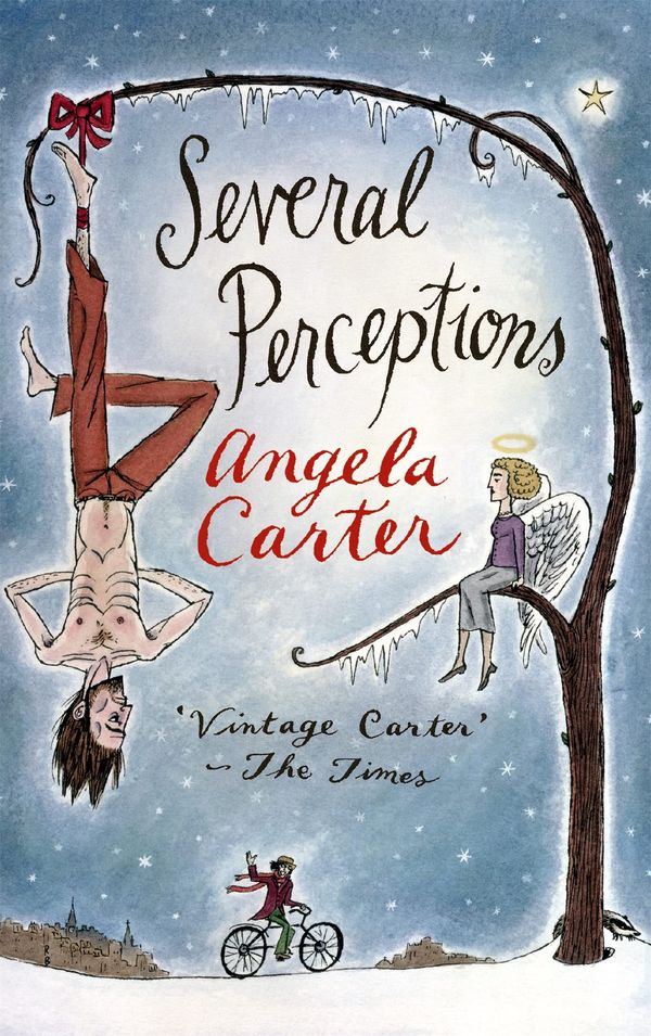 Several Perceptions Book Cover