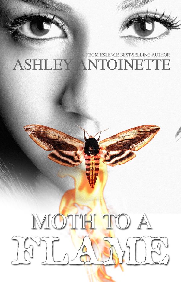 Moth to a Flame Book Cover