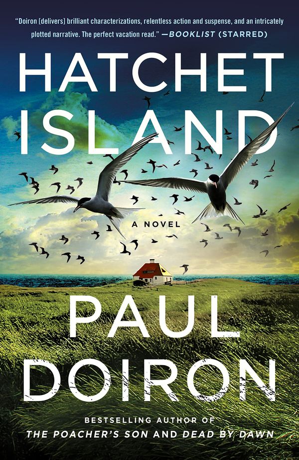 Hatchet Island Book Cover