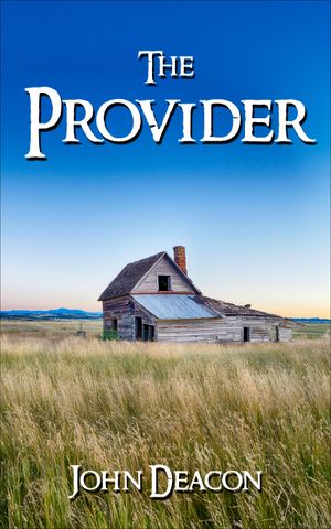The Provider