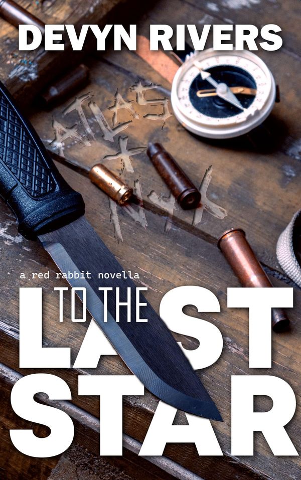 To The Last Star Book Cover