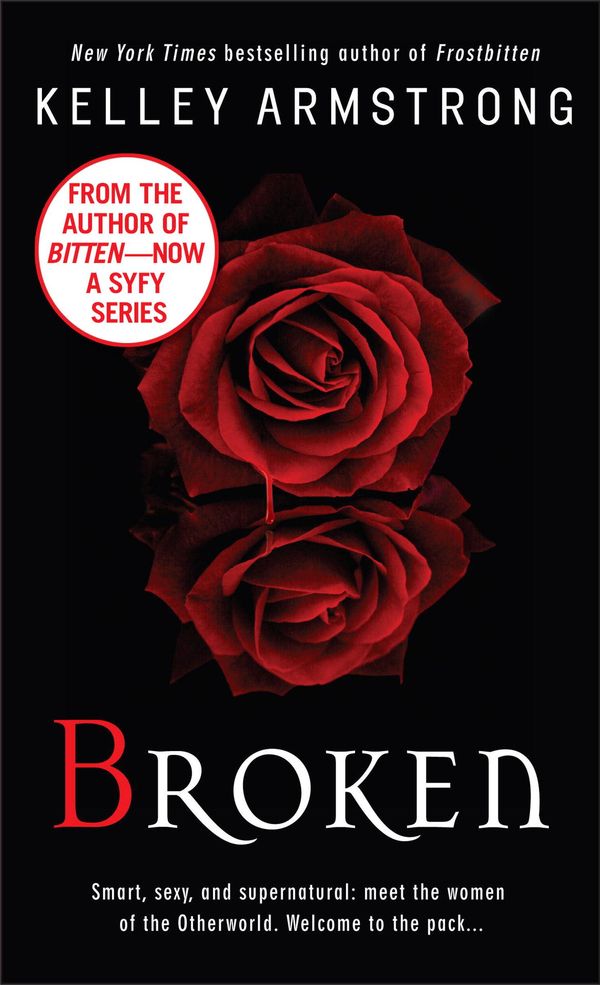 Broken Book Cover