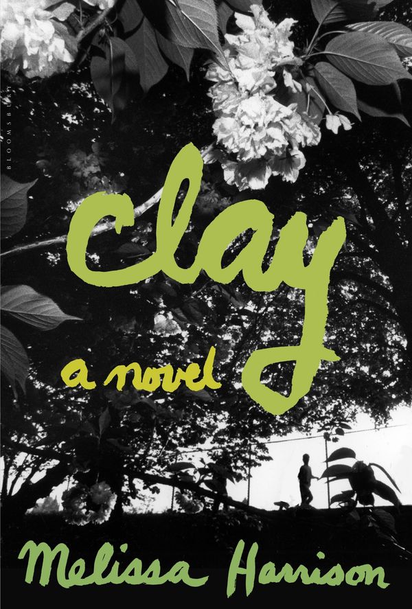 Clay Book Cover