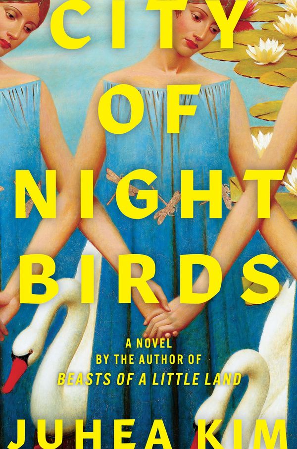 City of Night Birds Book Cover