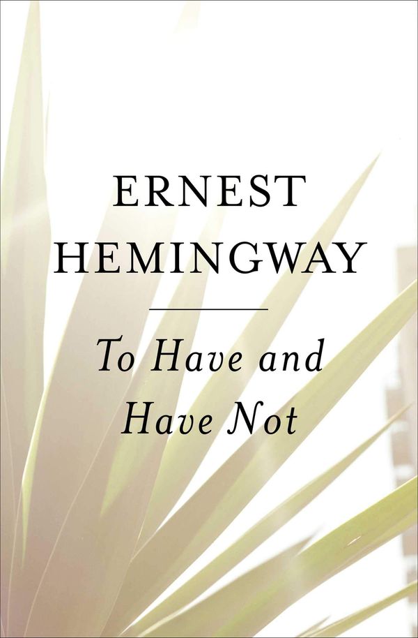 To Have and Have Not Book Cover