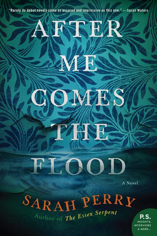 After Me Comes the Flood Book Cover
