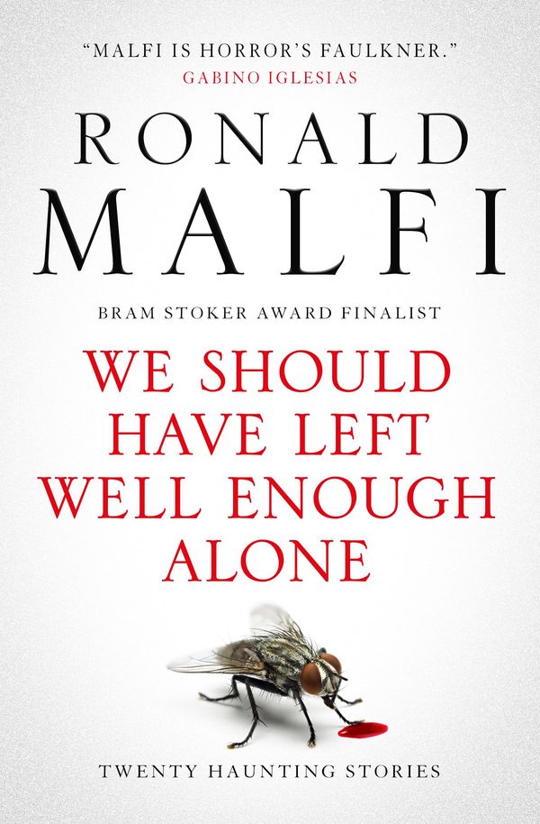 We Should Have Left Well Enough Alone Book Cover