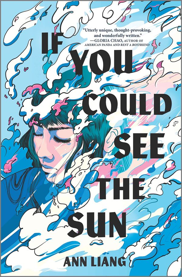 If You Could See the Sun Book Cover