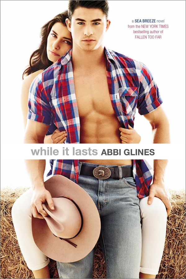 While It Lasts Book Cover