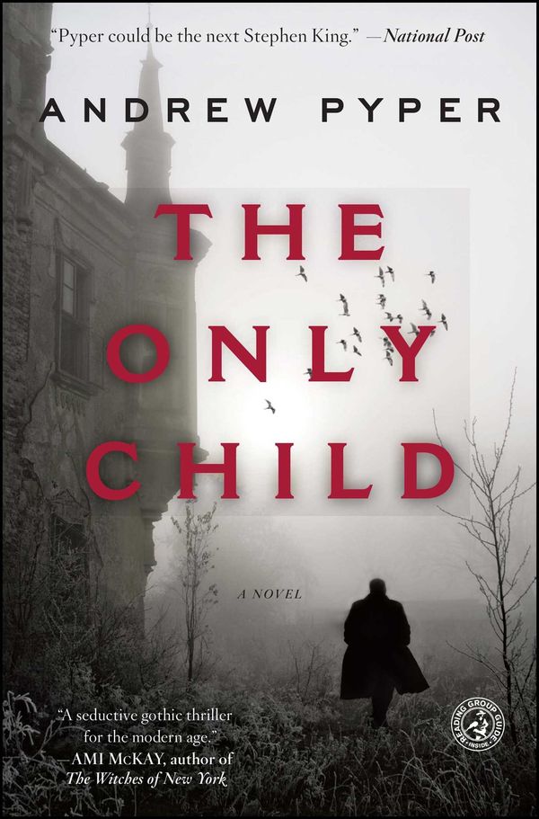 The Only Child Book Cover