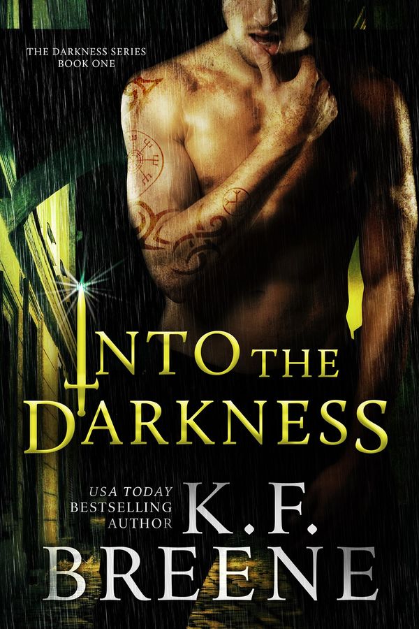 Into the Darkness Book Cover