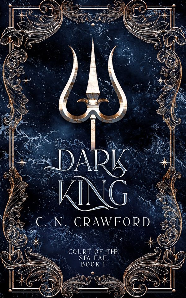 Dark King Book Cover