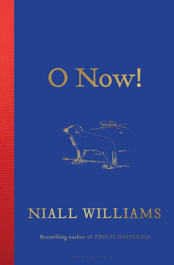 O Now! Book Cover