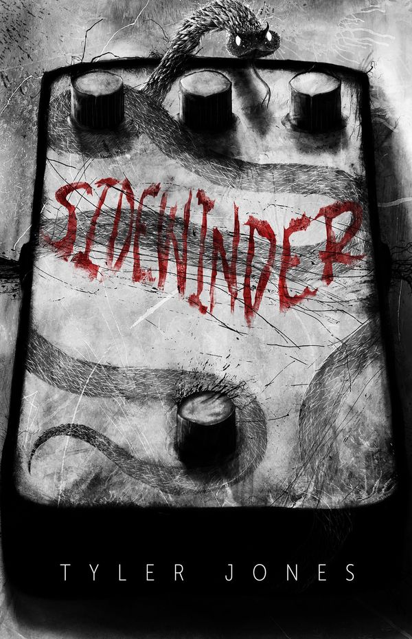 Sidewinder Book Cover