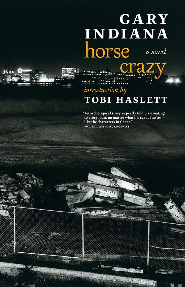 Horse Crazy Book Cover