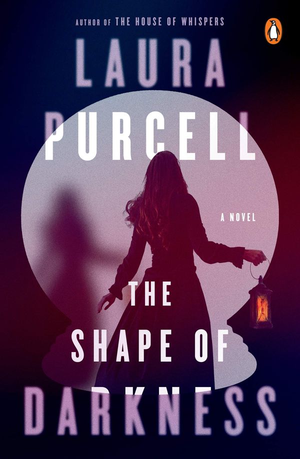 The Shape of Darkness Book Cover