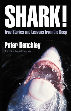 Shark!