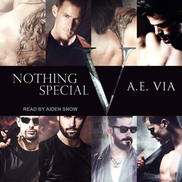 Nothing Special V Book Cover