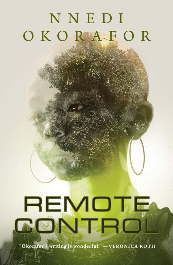 Remote Control Book Cover