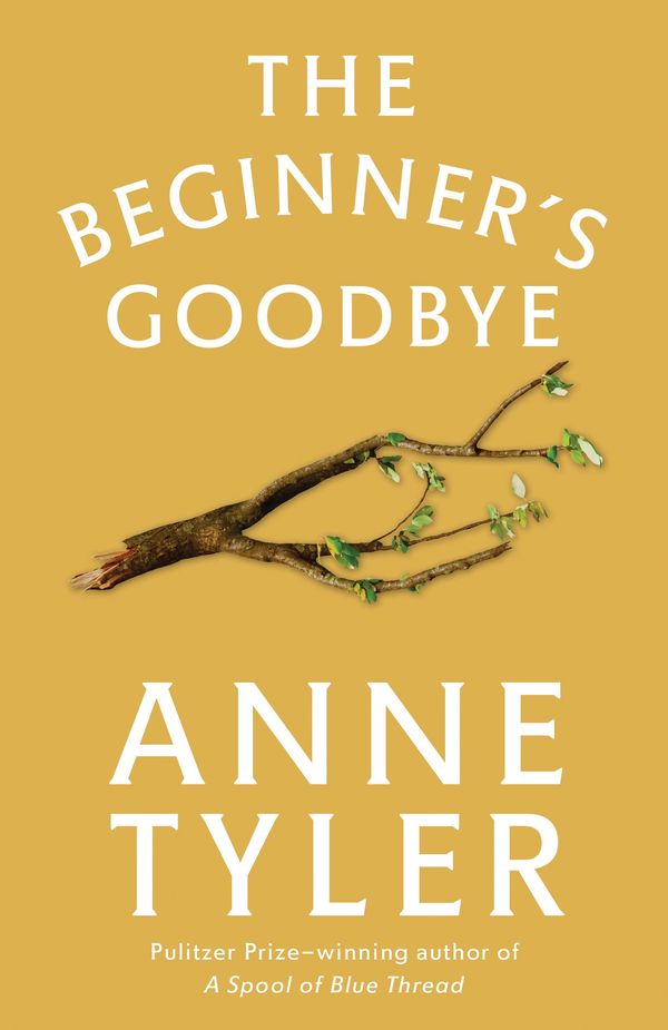 The Beginner's Goodbye Book Cover