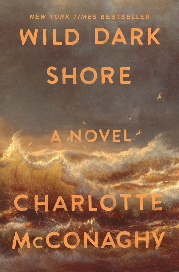 Wild Dark Shore Book Cover