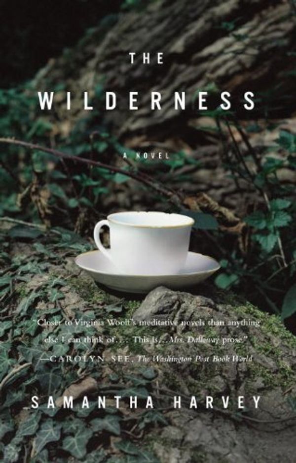 The Wilderness Book Cover